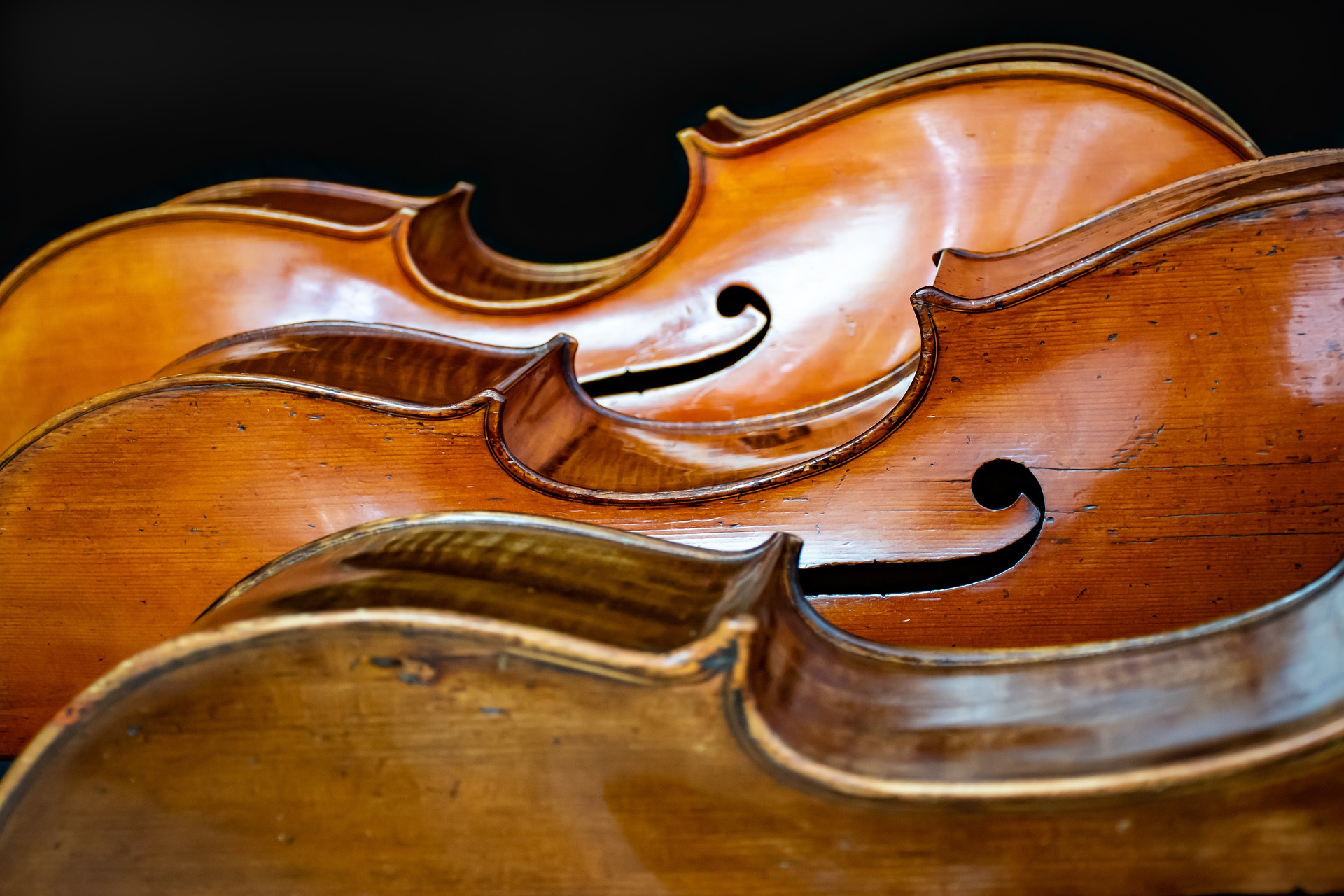 Visite du « musée des instruments de musique »