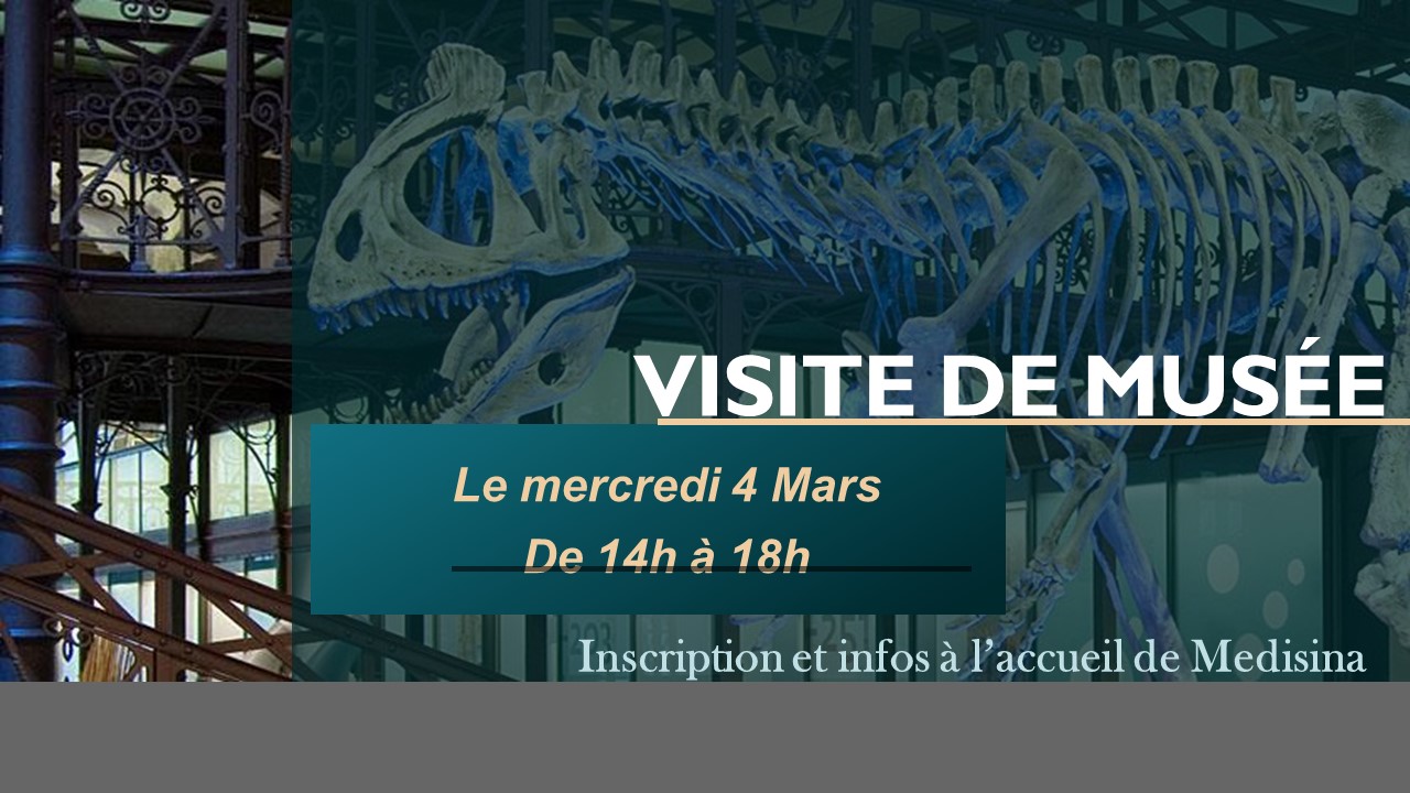 Visite du musée des sciences naturelles