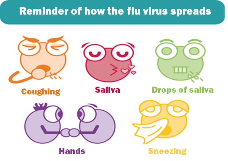 Transmission du virus de la grippe